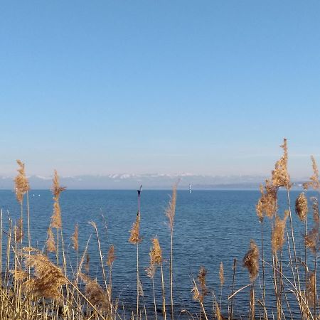 Ferienwohnung Mit Ausblick クロイツリンゲン エクステリア 写真