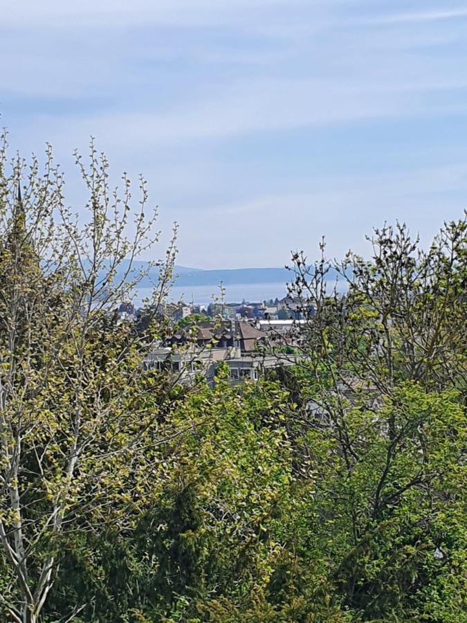 Ferienwohnung Mit Ausblick クロイツリンゲン エクステリア 写真